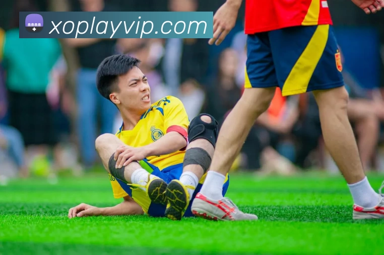 星欧娱乐官网平台生态图