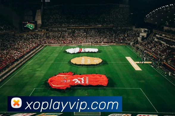 星欧娱乐官网APP 封面图