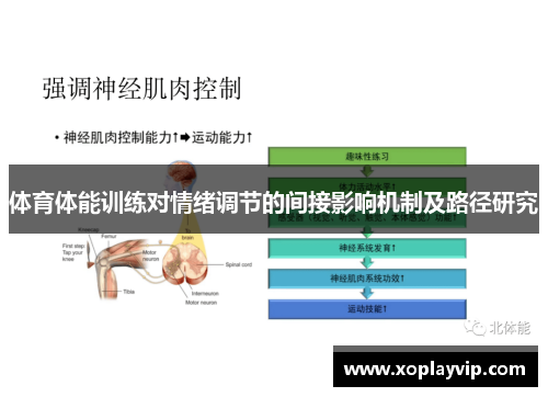 体育体能训练对情绪调节的间接影响机制及路径研究